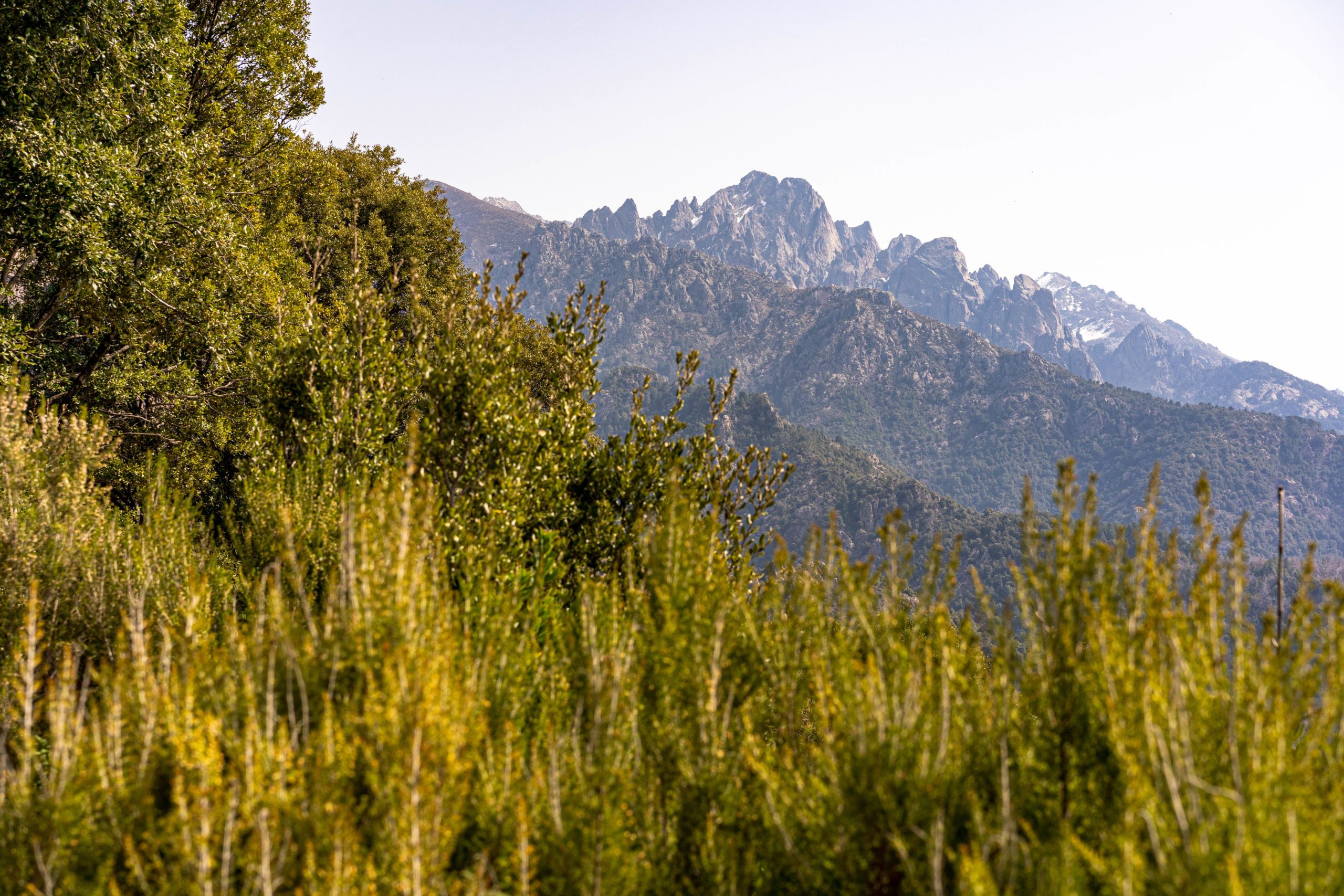 Photo du paysage prise sur le domaine Tarradurata